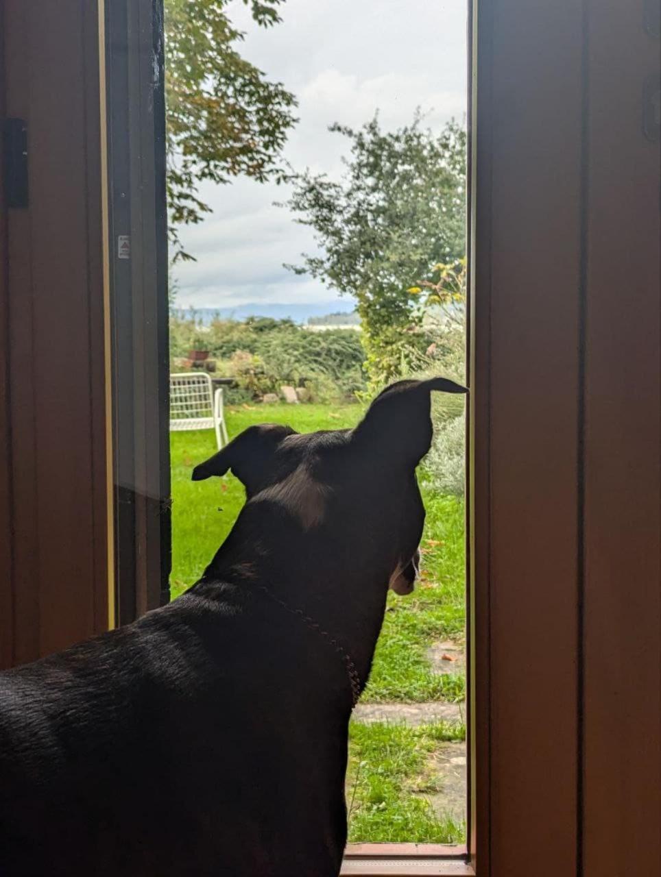 Chalet Sul Trasimeno 탄타르칸젤로 외부 사진